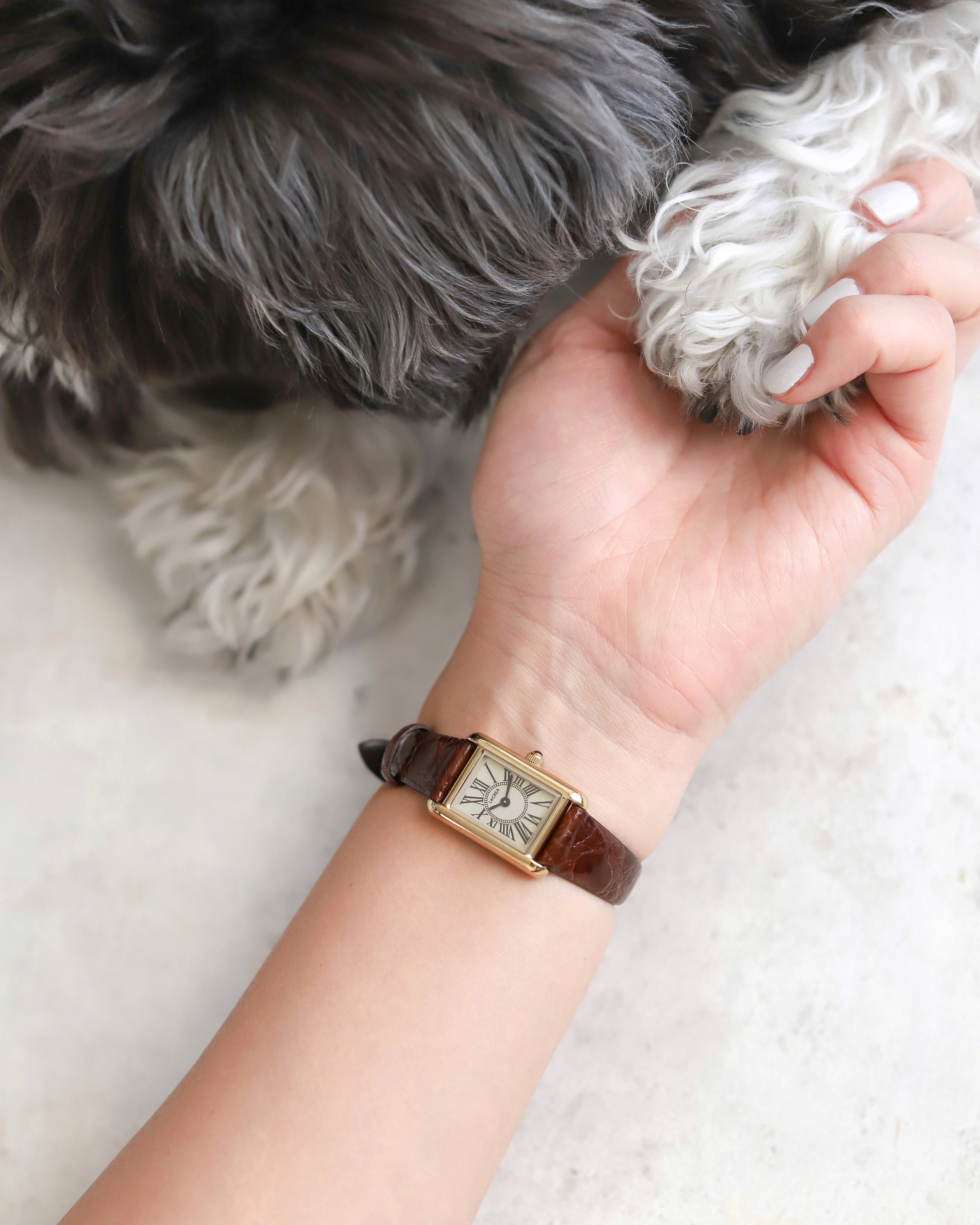 PARALLELA – 【ソーラー腕時計】LCREA＜ルクレア＞