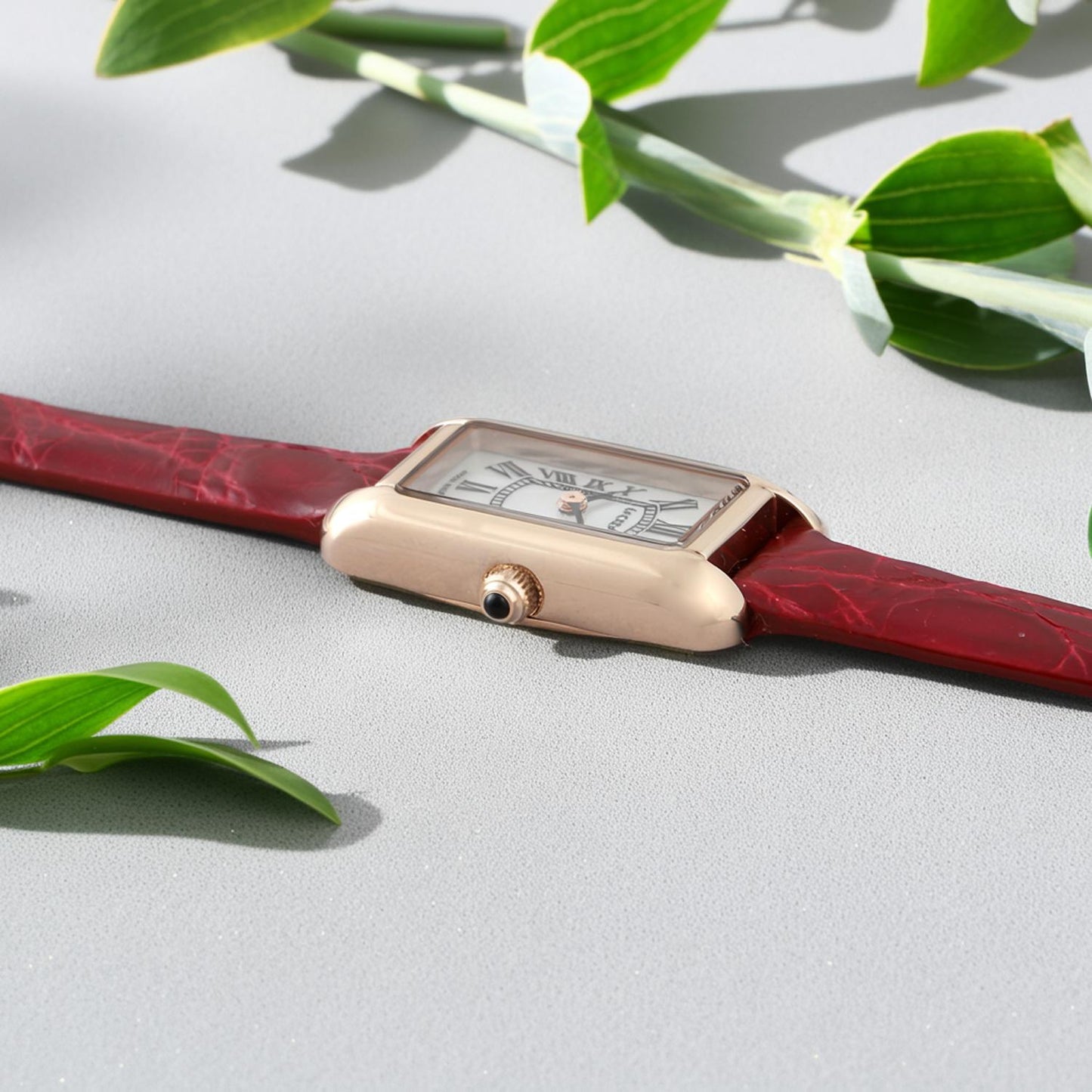 PARALLELA　MINI - LC2501-PG